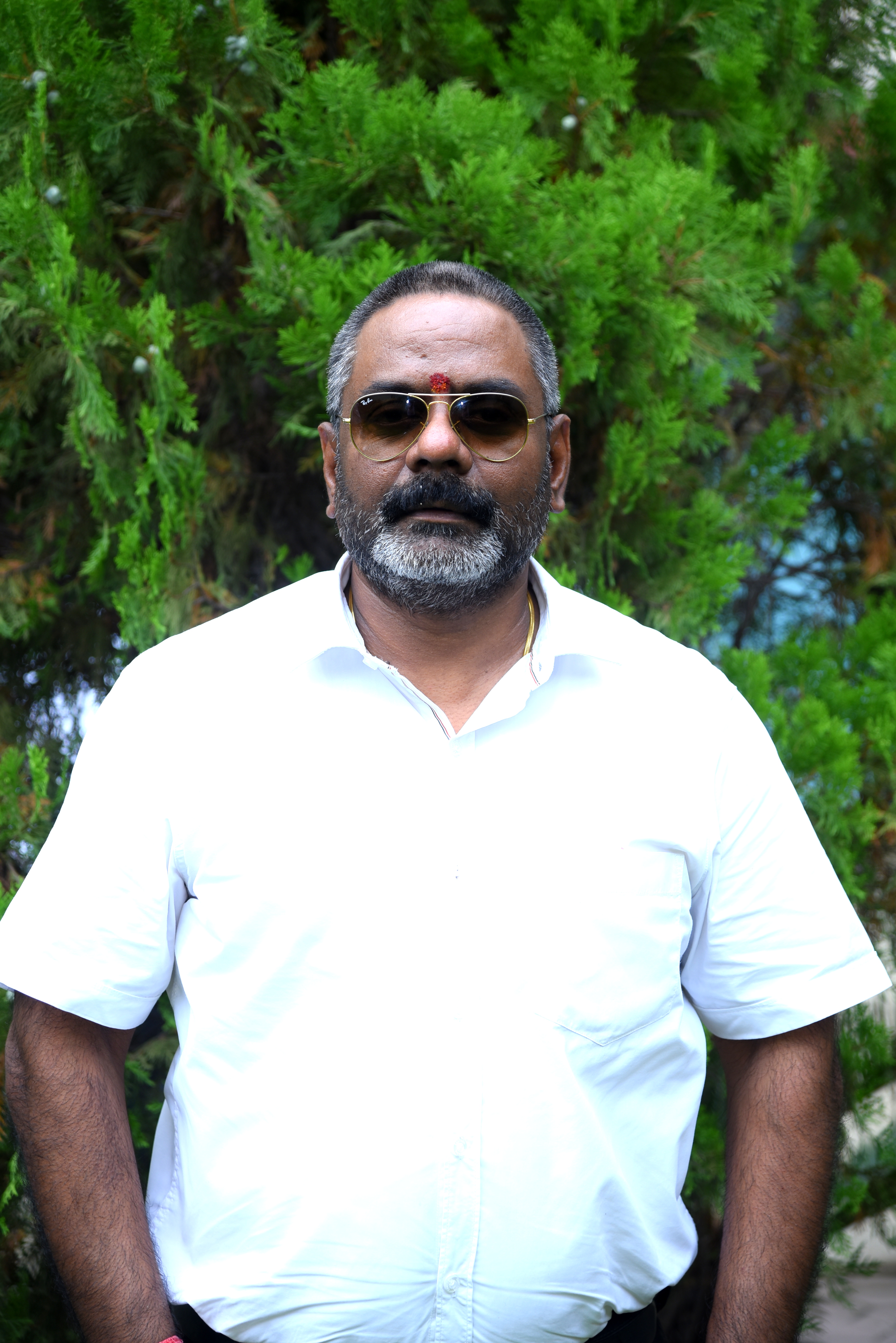 Shri Mohan K. Naidu's photo